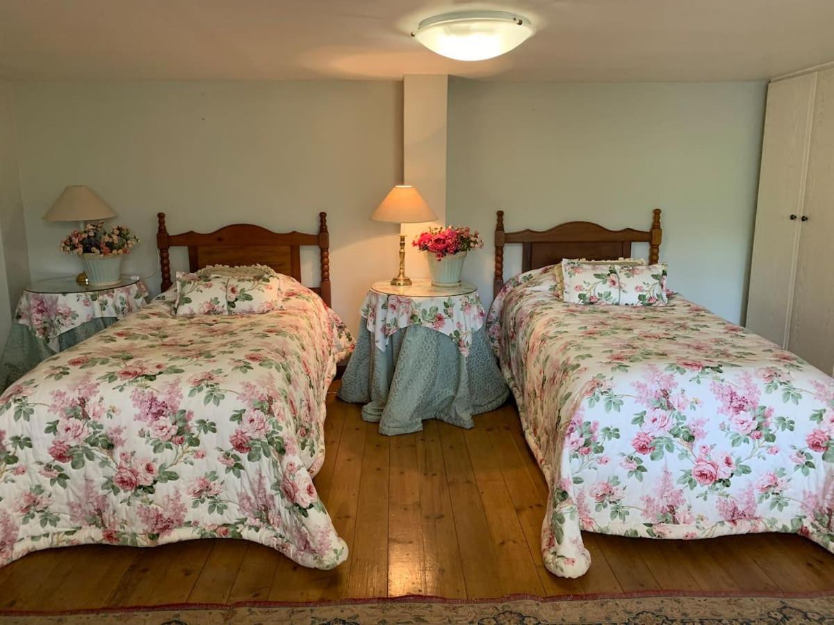 Mountain Rose Guesthouse Луис-Тричард Экстерьер фото